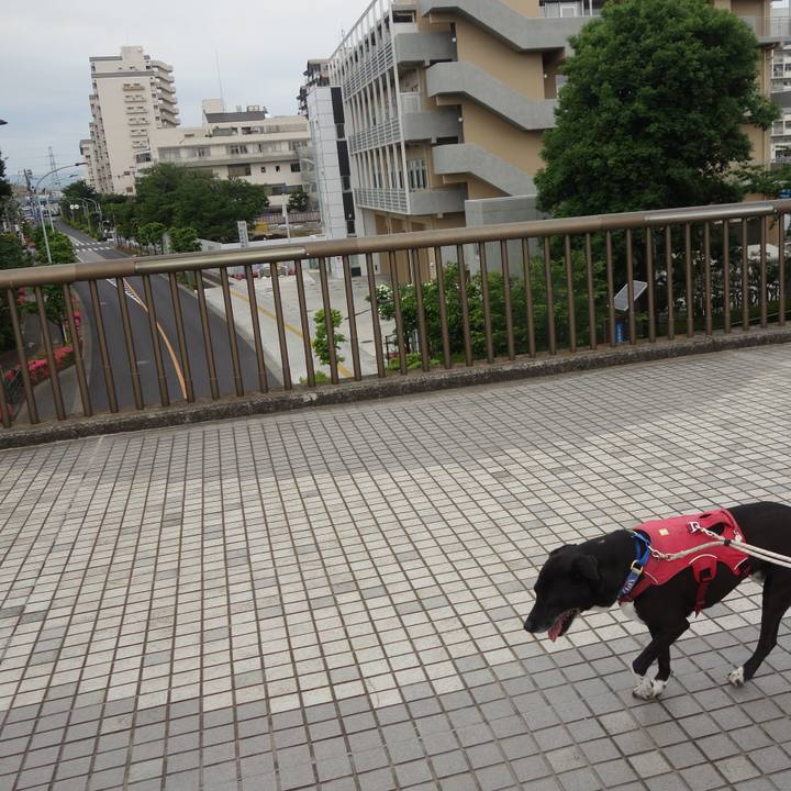 2c31203e aa11 4d5b 9dc4 27d3b8366dc7 1684456682476