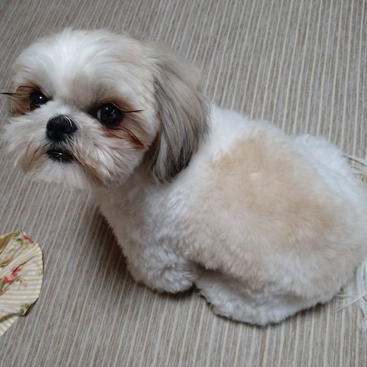 2c313c5a 66ba 4fa9 8ef4 1a64726de69c 1621131810007