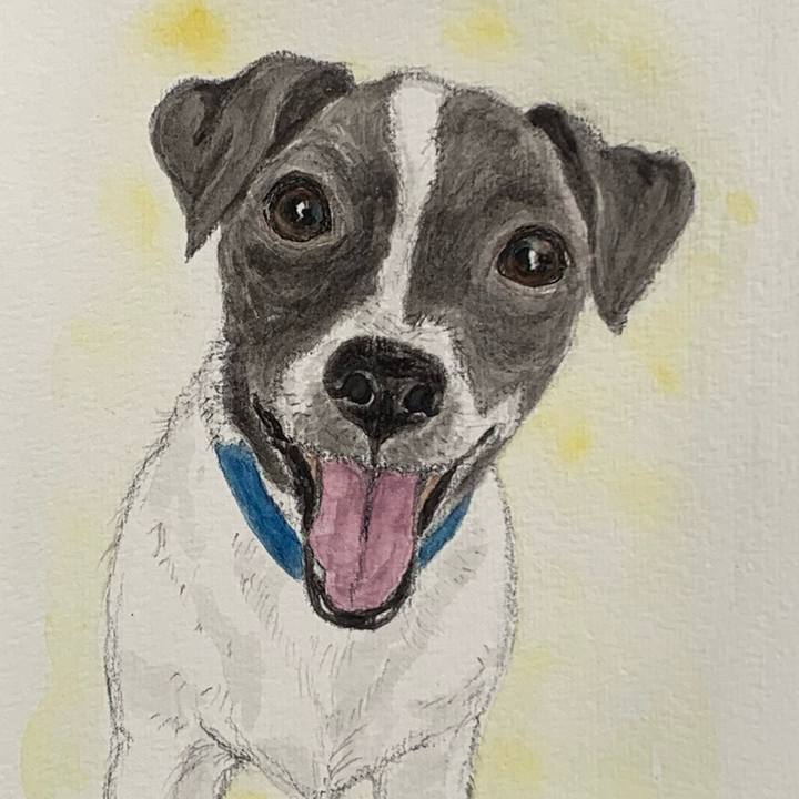 2c314704 9bf6 4a7d ba44 0faa1ccdf506 1677892147125