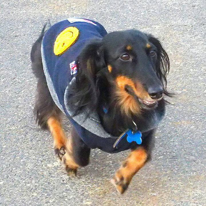 2c31ade3 92e9 4f9a 9759 969ff1bca755 1512879490304