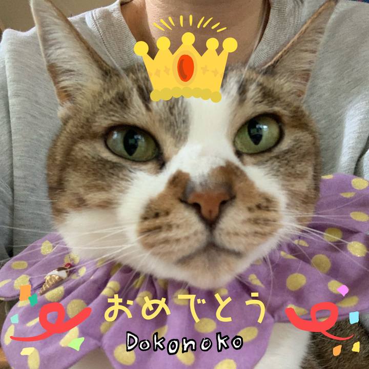 2c31af07 4336 4cc1 85c7 8a8da5525cb1 1686008123369