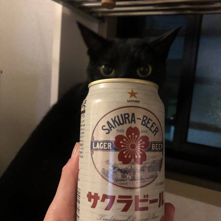 2c31b5d8 f1fe 47dc 8d29 641d08525630 1616669435334