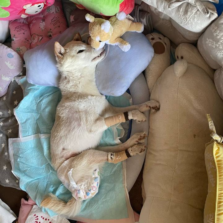 2c31bea0 b012 4079 be20 5b8cefa50115 1680588113032