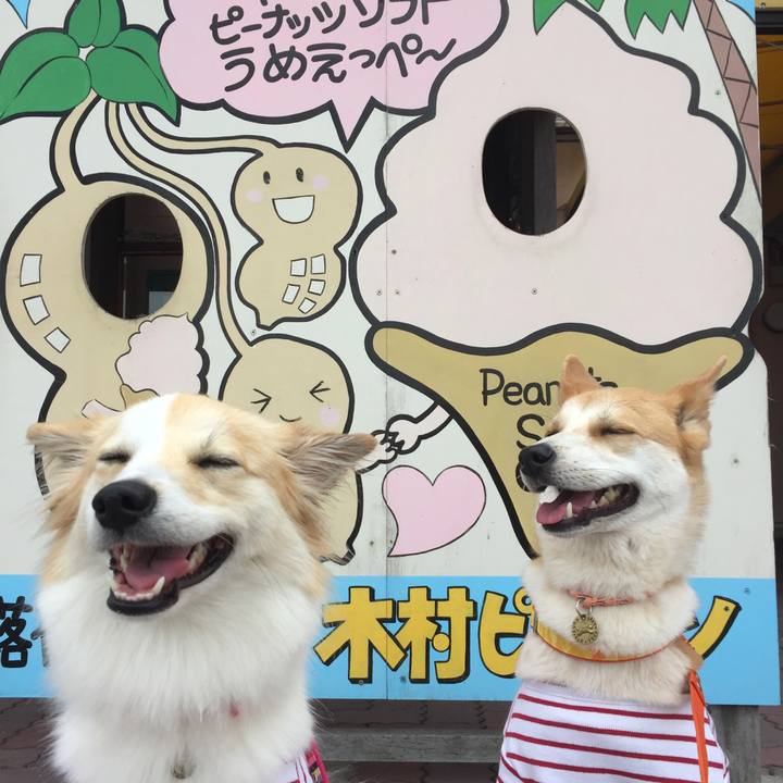 2c31c6c4 3e0a 4788 a544 17bb3b32ea80 1511873155307