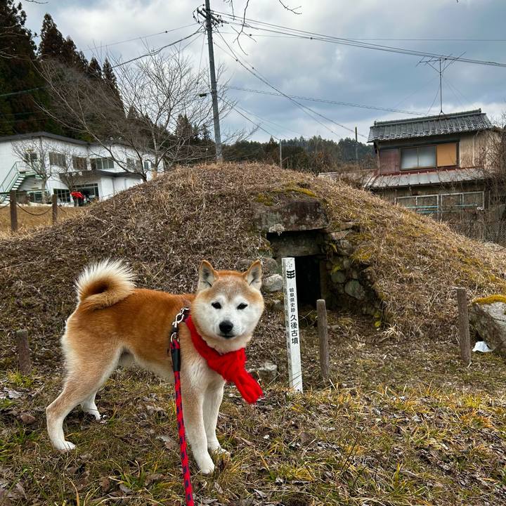 2c31e259 4458 4c24 b6ad a262050e4aaf 1770462429817