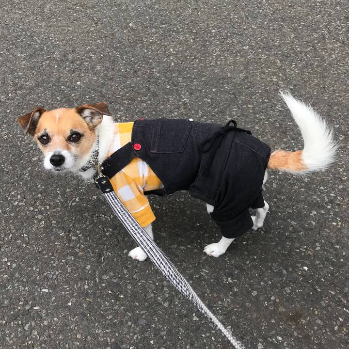 2c31ea58 4d22 4b97 9508 027cf1efceb8 1520725820546