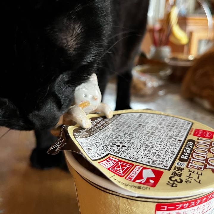 2c31f1d6 de17 4706 b96a 99861157d4b6 1722754814550