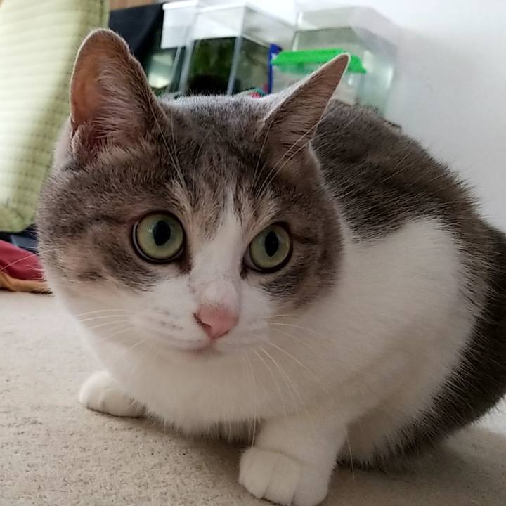 2c322549 3f2c 462f 818d ee47c771620a 1568760323280