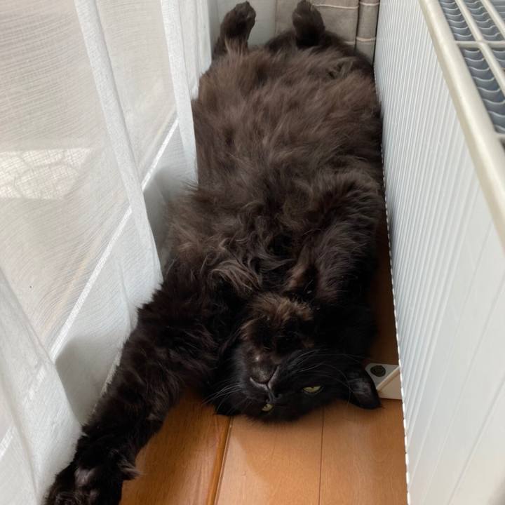 2c322bf5 0b49 4b8e 9b43 d6ef743fb6be 1591182943053