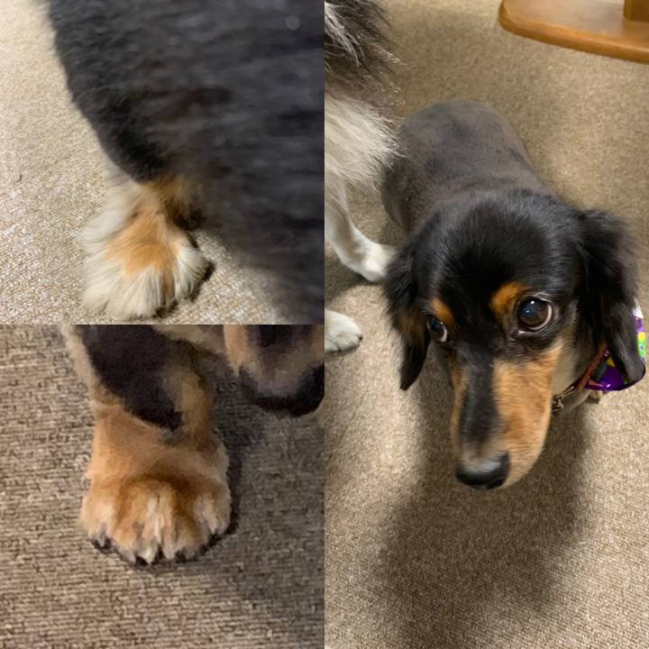 2c32a7b6 c136 4c5c bad9 34e8125fcd56 1570866035666