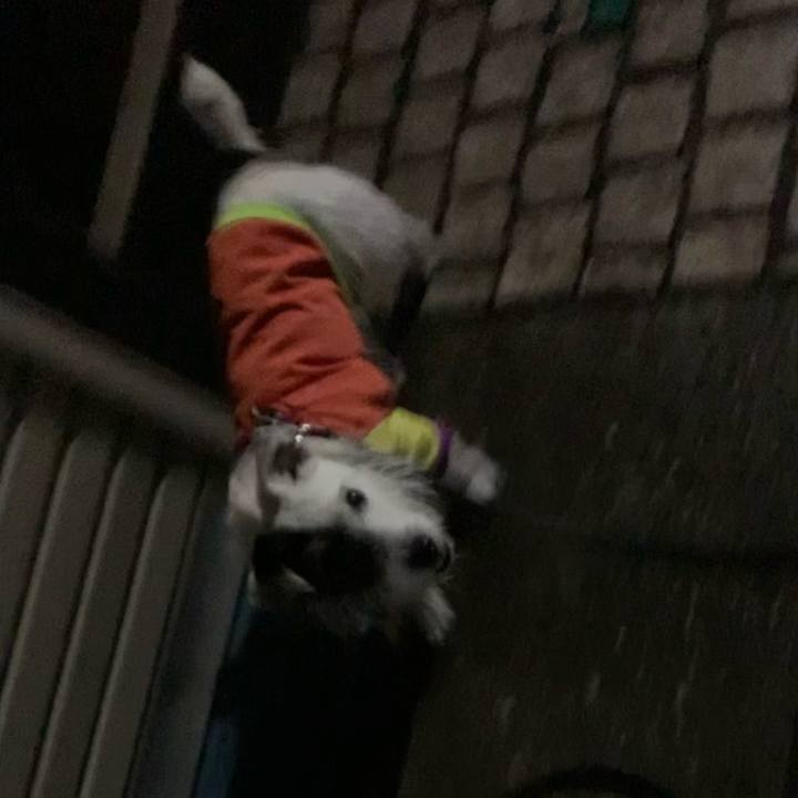 2c32c971 5448 4141 8b9b 532f5c016939 1657632110938