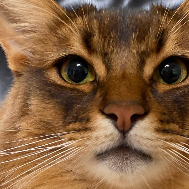 2c32d4da 17cc 4b42 95d9 073db3d73099 1672997157228