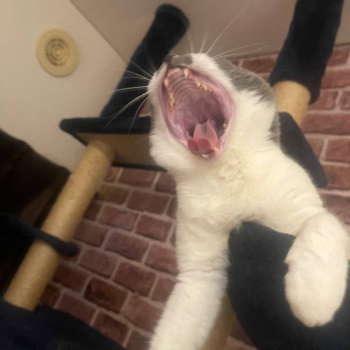 2c32dd19 9f1d 405d 9663 e6787738353d 1715595401458