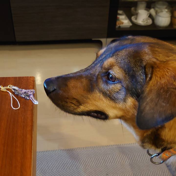 2c32e9f7 79d3 45cd a4ef d6dbaac16e1f 1720225651700