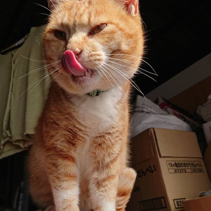 2c336516 f668 498e a65a bec5912f0a57 1581221956674