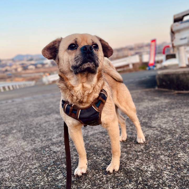 2c337c99 d481 4a51 afbd 5c79cba214ee 1773095576678