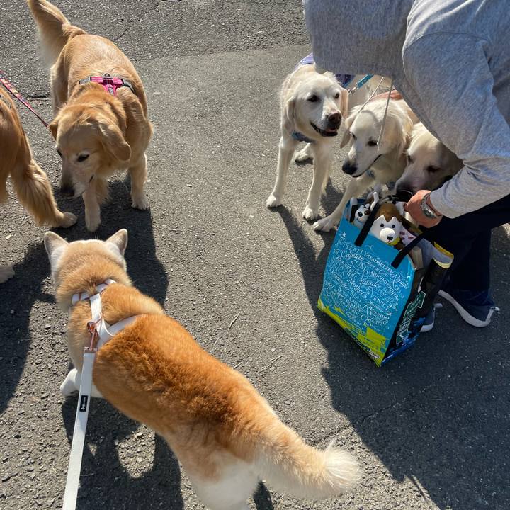 2c33b28e 2137 4e84 892e 684fc5d13753 1668641035813