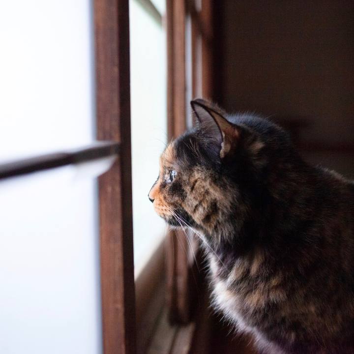 2c33d945 a137 4562 8457 6fce11e6810c 1579917697237