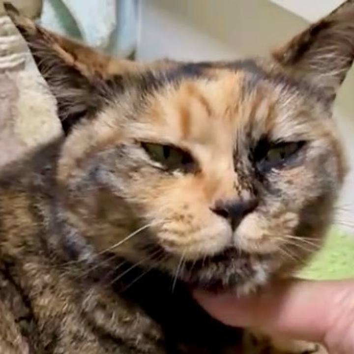 2c33f4e9 105b 4e57 af40 db30f6a796e9 1750365954644