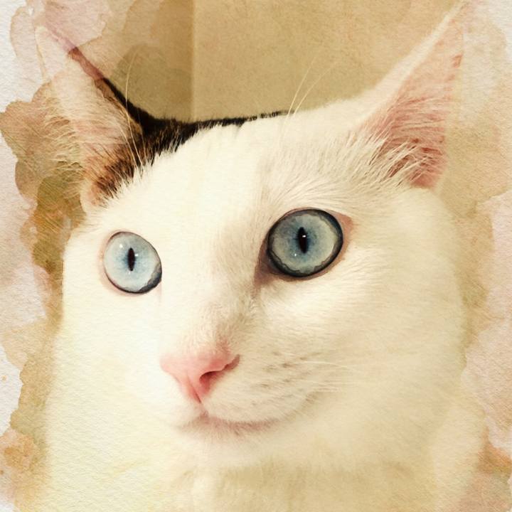 2c3417d4 503e 47d0 9616 b0b27151c685 1510558525727