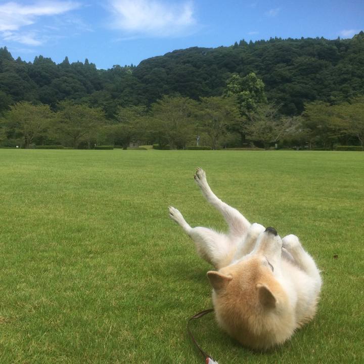 2c341b9a c1cc 4719 b536 f47b691fb003 1540694591716