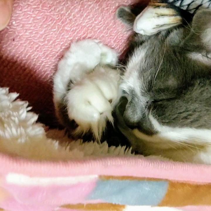 2c3420f5 7be4 4cae b728 9439fedb1a6a 1588157974866