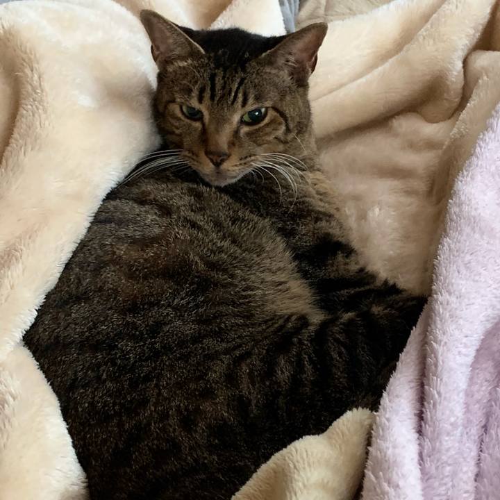 2c342edc dcbf 455e 82d6 5a97ea4f2974 1541725349503