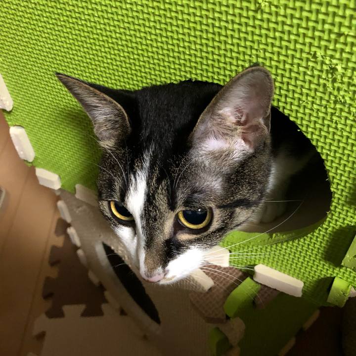 2c349528 f1cd 40f8 972e 1efd958ca352 1520311717013