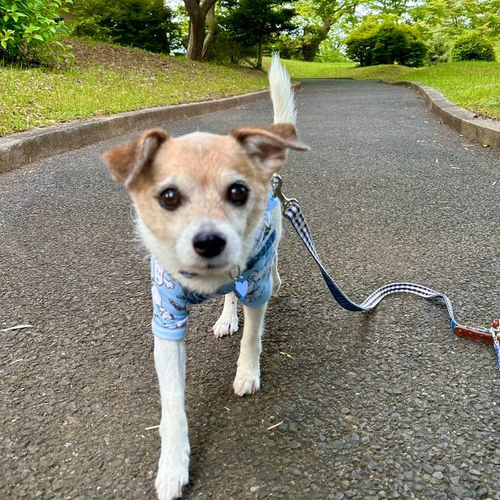 2c34adce 0d7d 46d0 ba8d 4cb5bd329c51 1684663327424