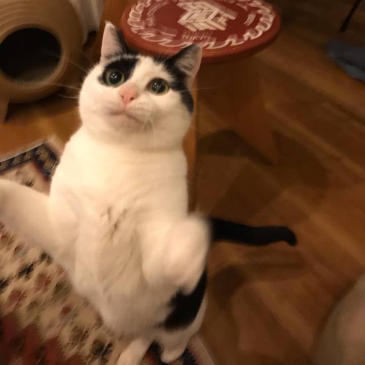 2c34ba79 8333 45bd a0f7 96e5d7e71a13 1580656429097