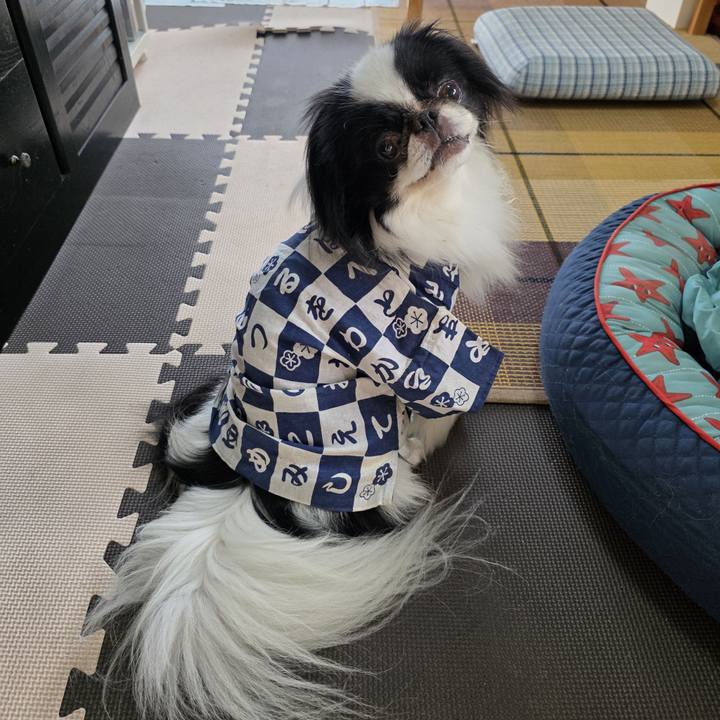 2c34d764 2aae 4b5d b280 8783fc68fc69 1752997004378