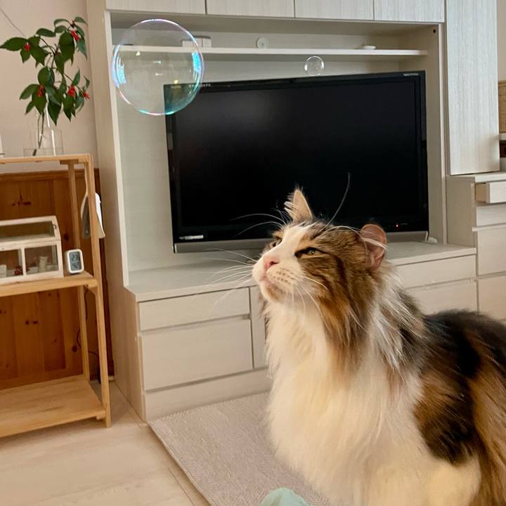 2c352c3d 4bc4 4cc2 bba2 99ccc8943ff5 1673767242040