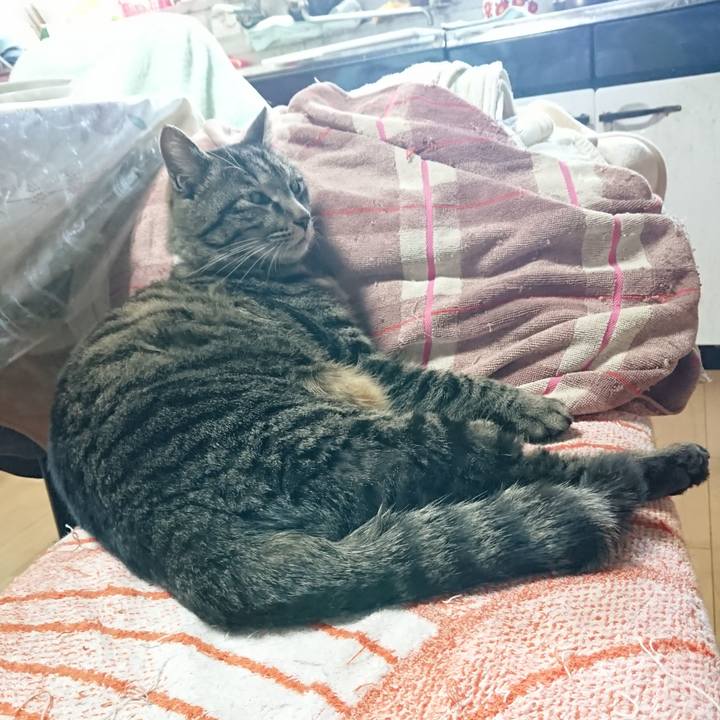 2c353f5a 9c90 4568 832e a5e7df651aee 1648610199817