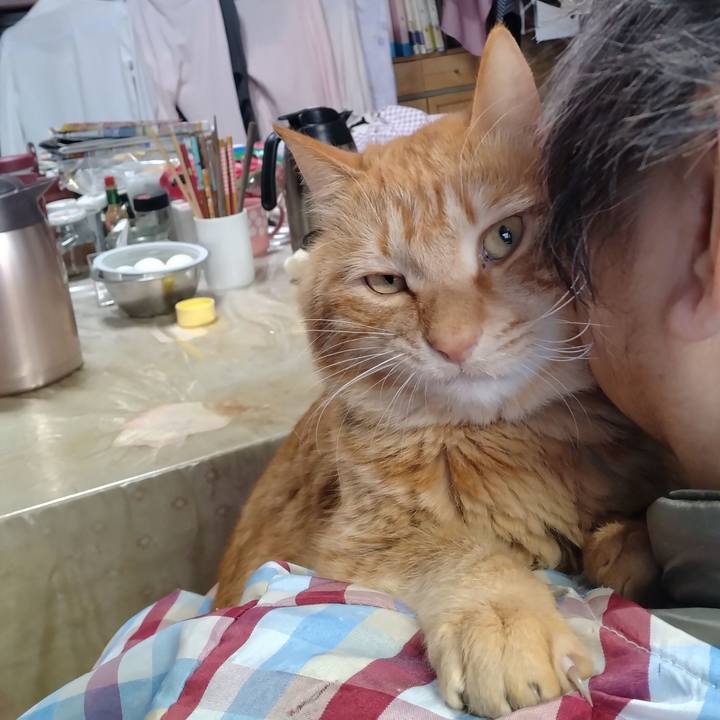 2c354b8d 690e 4180 b536 54a89060902b 1712047172890