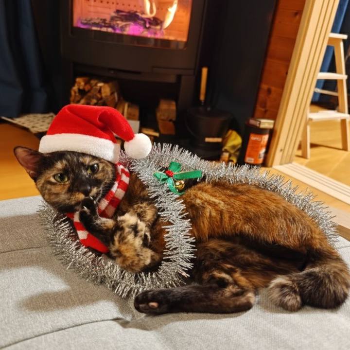 2c356c2f 13ed 4df4 9243 e6c4e952699d 1766565663187