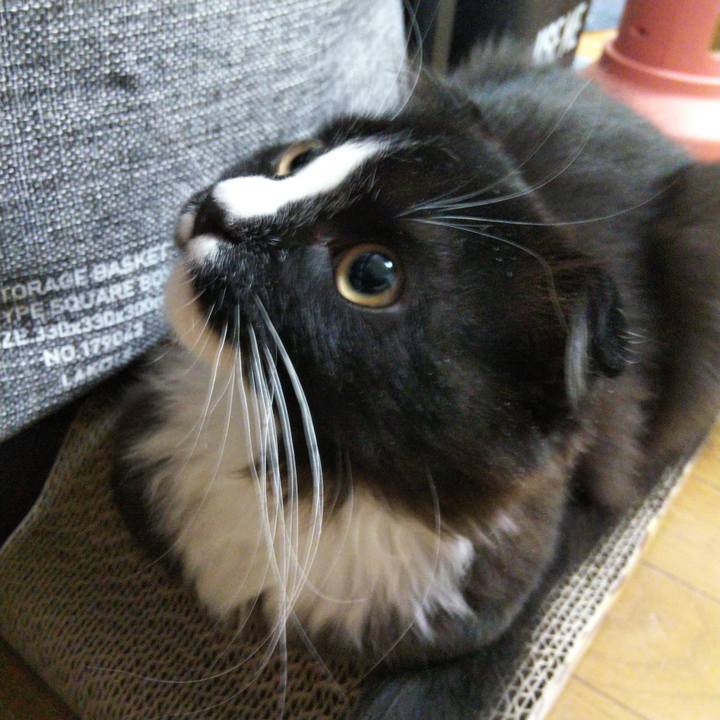 2c35b0eb 6c47 48d5 b1d5 1f121c4e13bf 1642160330880