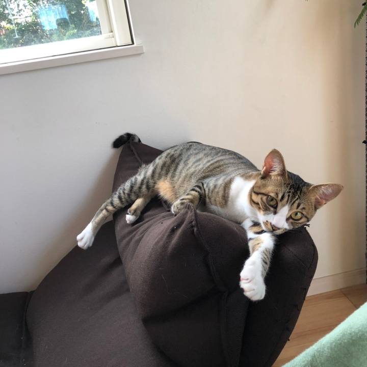 2c35b29e c6c8 48de bd7f d995fbebe013 1602241185899