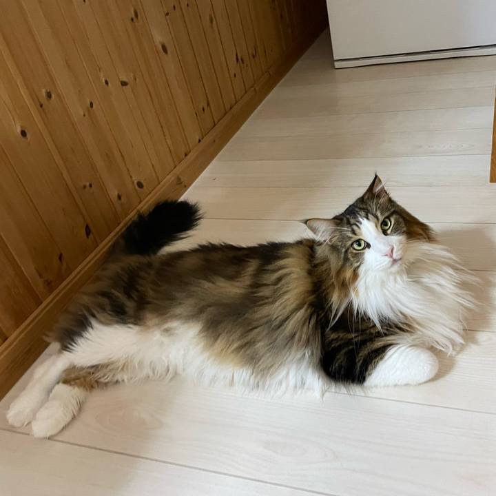 2c35c09a 3d04 4927 96d6 958258d9cbb2 1705605307237