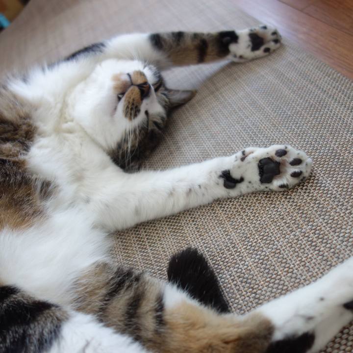 2c36238b 3dfc 4458 a895 9a83b3a0fd7f 1770694781030