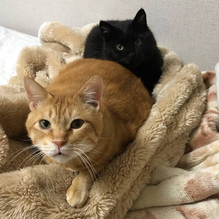 2c3646f8 85eb 4376 8e17 9dc37f74303c 1601977917752