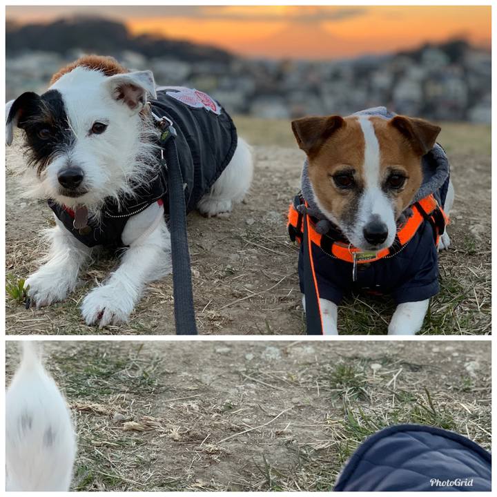 2c36a6b1 fcd0 42c9 80dd 0c33ed937d35 1547108638992