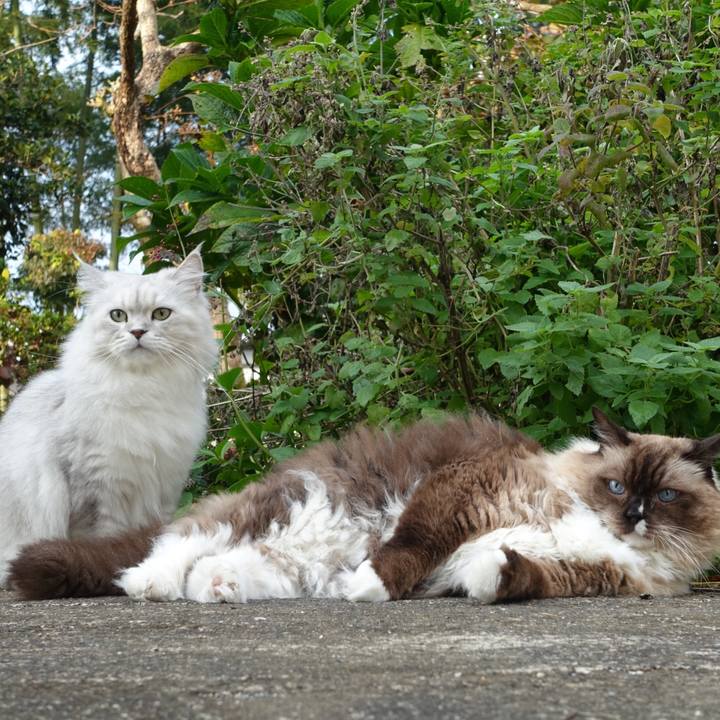 2c36b29f 16ad 483e b4dd 9752d2352bf3 1509752459299