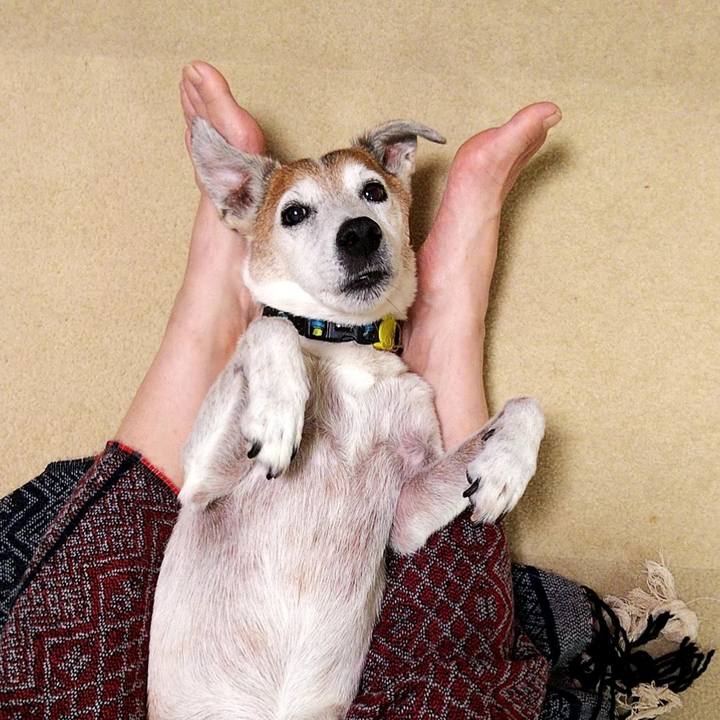 2c36b4b7 06ca 4edc b153 10cc06c68d91 1594596618733