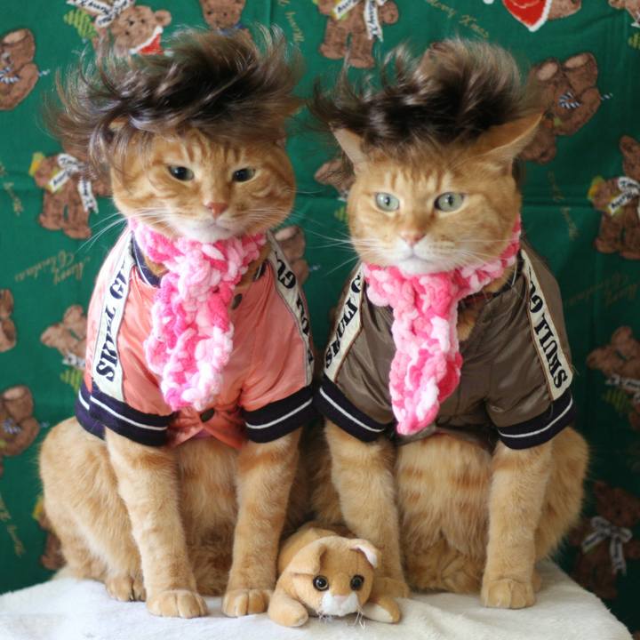 2c36ce26 1fcd 4747 bb47 7bacc25e19cd 1513853705139