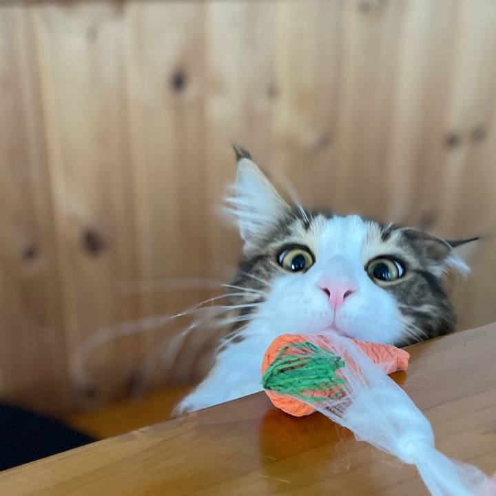 2c36d460 6428 4845 80c7 25741042da1f 1646776579995