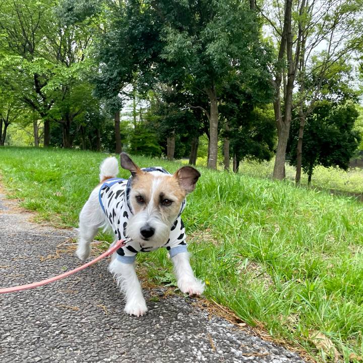 2c36f428 def8 4f37 ac74 7c8b5d30d95d 1650528583907