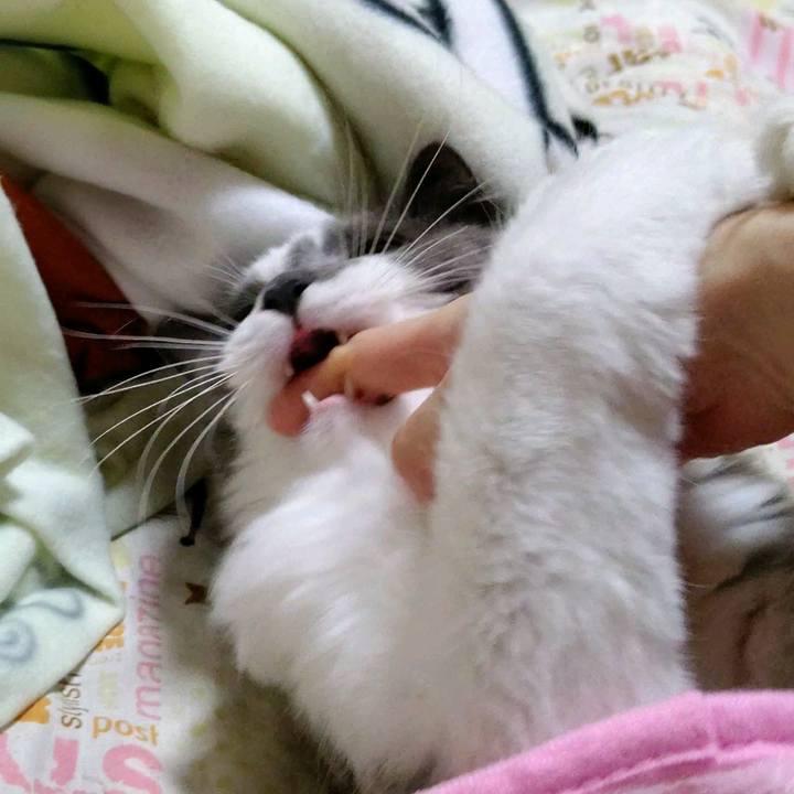 2c37035a 4c5c 4f11 823f d73ab88618c5 1605006647128