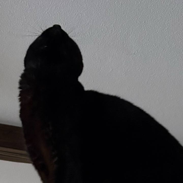 2c37091d 8ffb 4665 b2b9 e1a388c90834 1770898832930