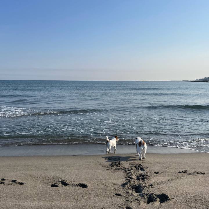 2c375102 9ba9 4731 8655 892c4c4c7386 1680571574216