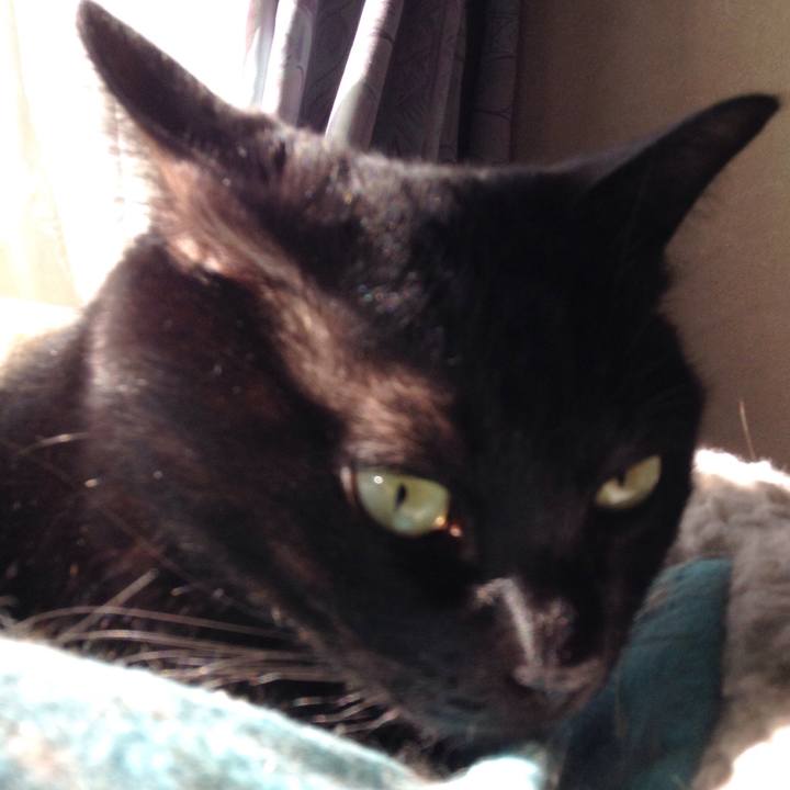 2c3785bb 2cb2 4ae6 8a42 82fc93d8cfd1 1509771095904